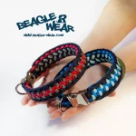 ogrlica za psa - Beagle Wear